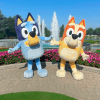 Bluey e Bingo