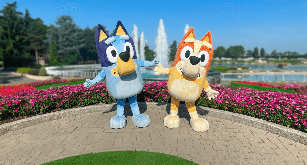 Bluey e Bingo