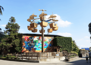 Explora Leolandia