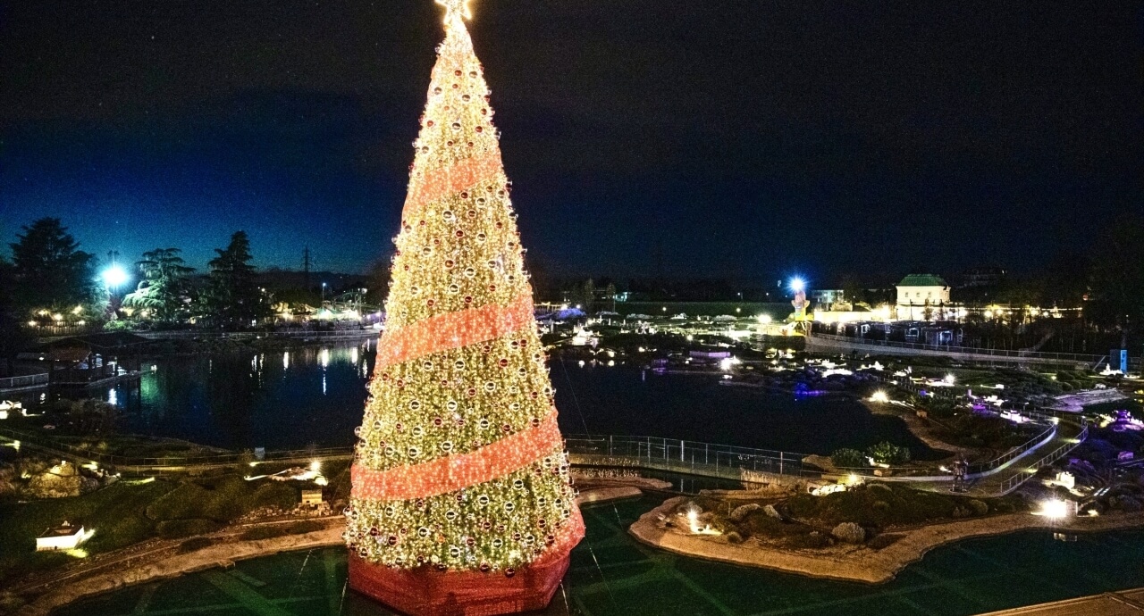 La Cerimonia di accensione dell'Albero